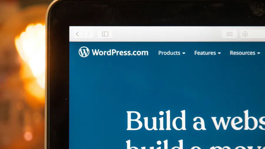 Why Your Developer Wants to Sell You a WordPress Website